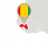 Guinea_235404418