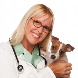 Veterinarian_2345107_original