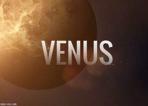 Venus_314144054.jpg