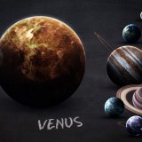 Venus_403494361