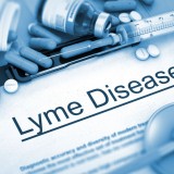 LymeDisease_387488245