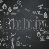 Biology_323575595