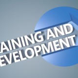 TrainingandDevelopment_242732890