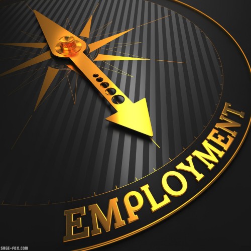 Employment_33229615_original.jpg