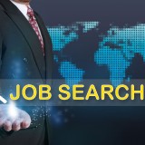 Job-Search_348430952