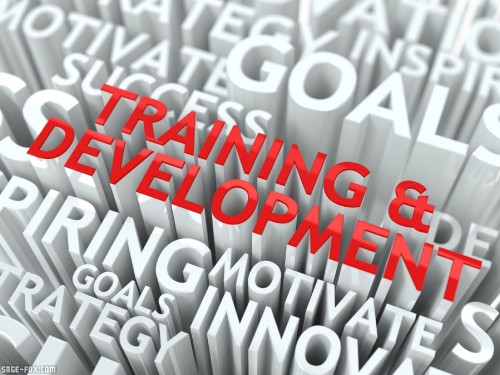 Training-and-Development_18918977_original.jpg