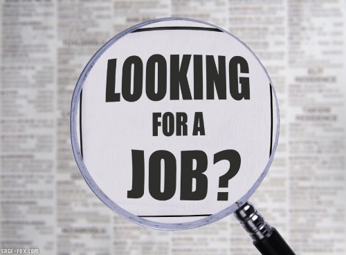 looking-for-a-job-33098710.jpg